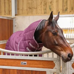 Tempest Original 300 Combo Stable Rug