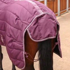 Tempest Original 300 Combo Stable Rug