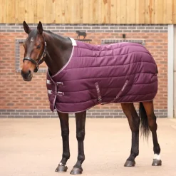 Tempest Original 300 Stable Rug