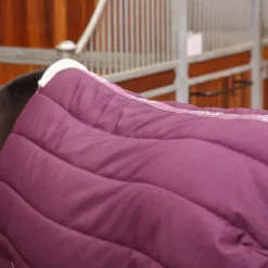 Tempest Original 300 Stable Rug