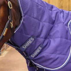 Tempest Original 100 Stable Rug & Neck