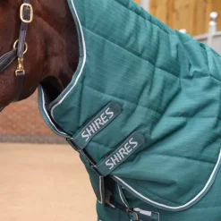 Tempest Original 200 Stable Rug & Neck