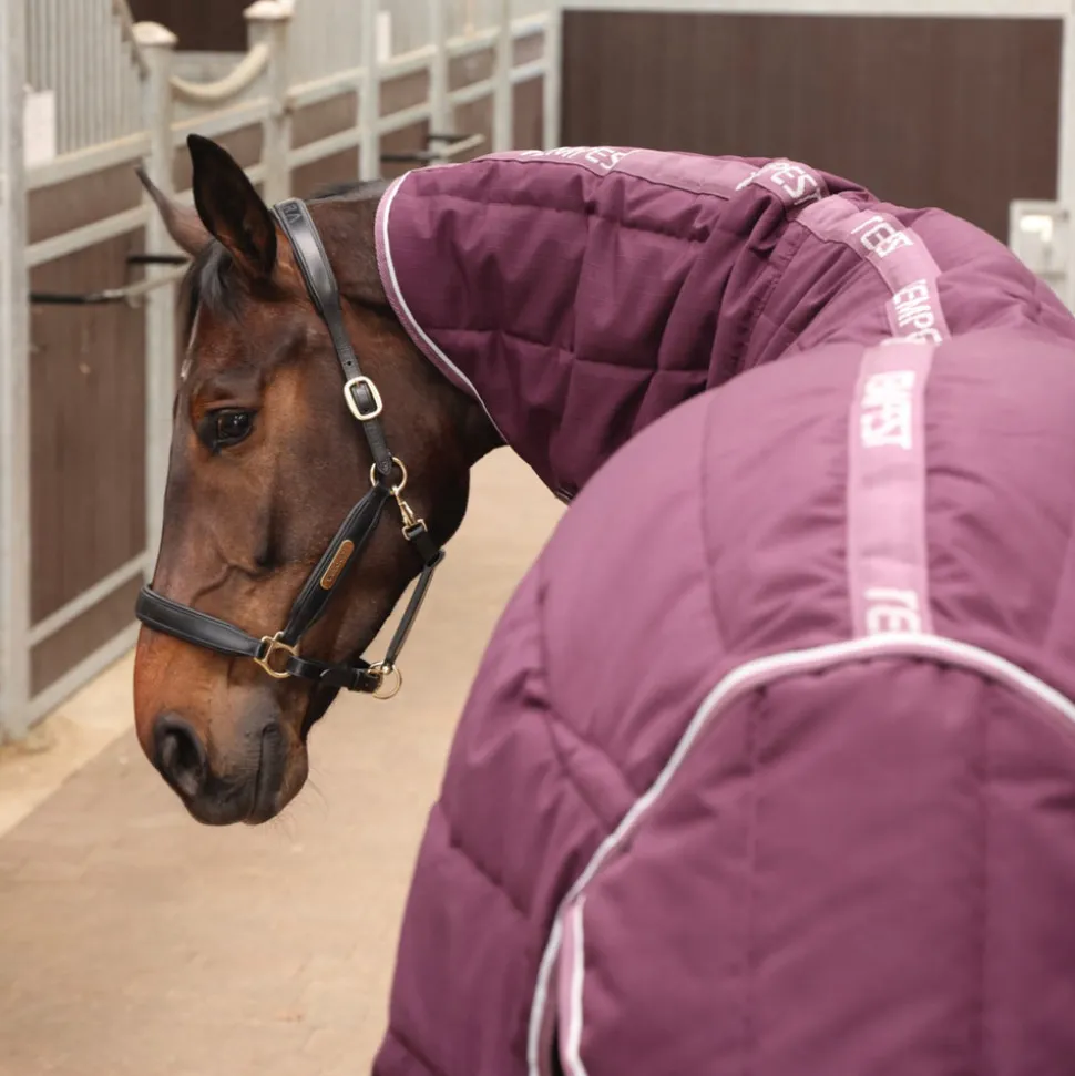 Tempest Original 300 Stable Rug & Neck