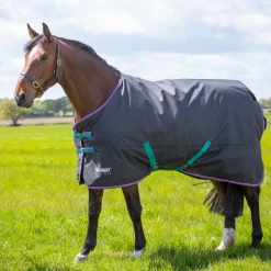 Tempest Original 300 Turnout Rug