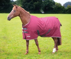 Tempest Original 200 Turnout Rug
