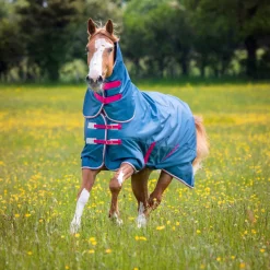 Tempest Original Lite Turnout Combo Rug
