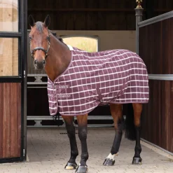 Tempest Original Stable Sheet