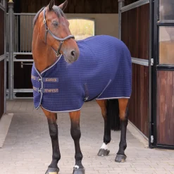 Tempest Original Tech Cooler Rug