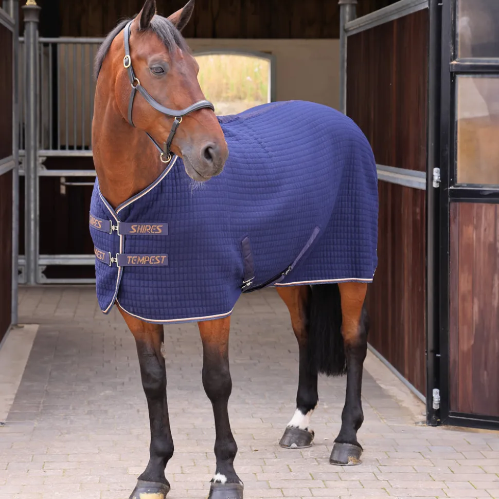 Tempest Original Tech Cooler Rug