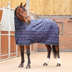 Tempest Plus 100 Stable Combo Rug