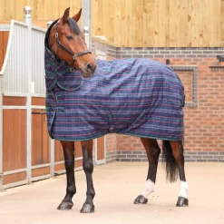 Tempest Plus 100 Stable Combo Rug