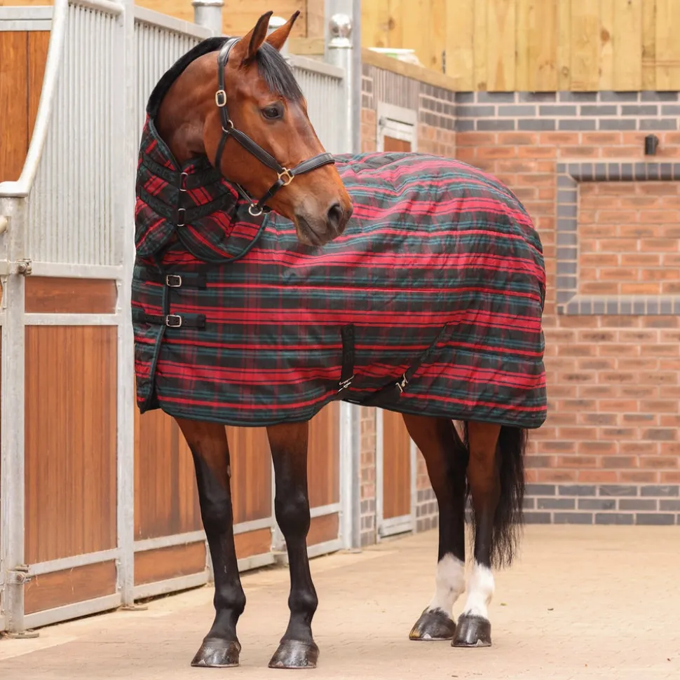 Tempest Plus 200 Stable Combo Rug