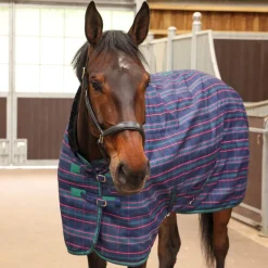 Tempest Plus 100 Stable Rug