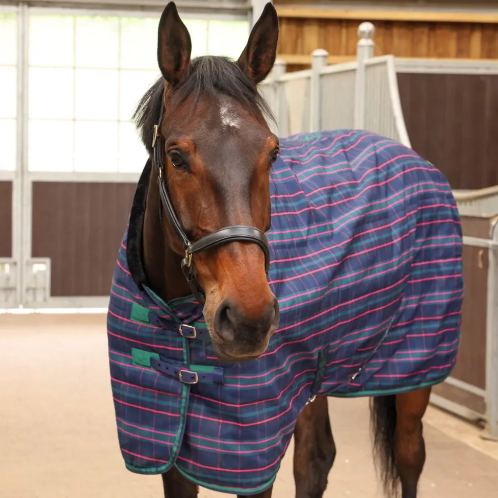 Tempest Plus 100 Stable Rug
