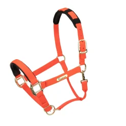 Topaz Nylon Headcollar