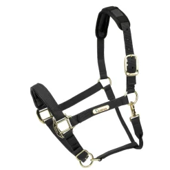 Topaz Nylon Headcollar