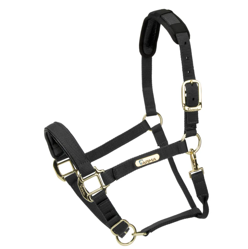 Topaz Nylon Headcollar