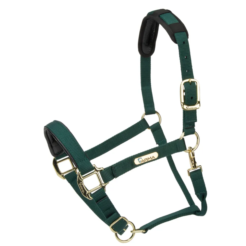 Topaz Nylon Headcollar