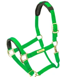Topaz Nylon Headcollar
