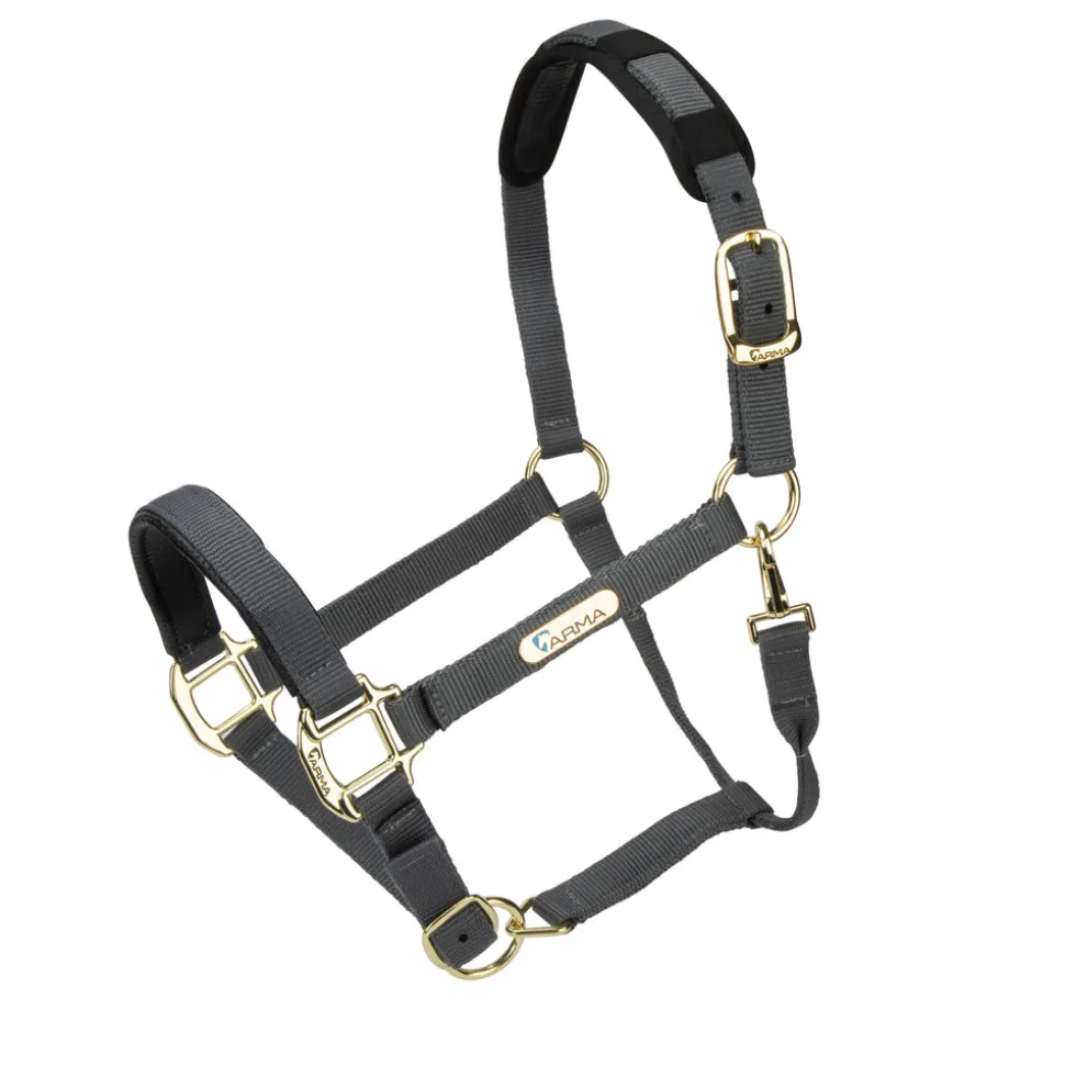 Topaz Nylon Headcollar
