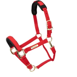Topaz Nylon Headcollar