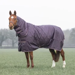 Typhoon 100 Combo Turnout Rug