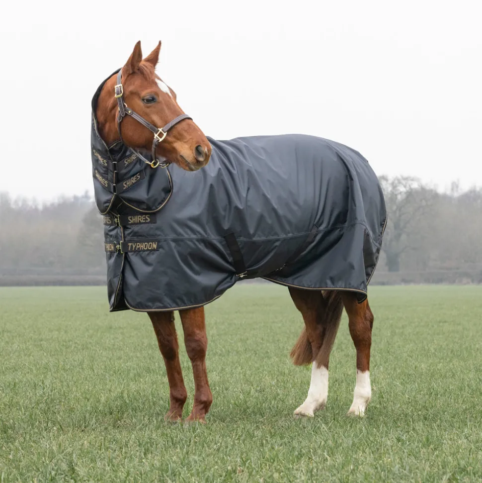 Typhoon 50 Combo Turnout Rug