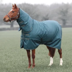 Typhoon 200 Combo Turnout Rug