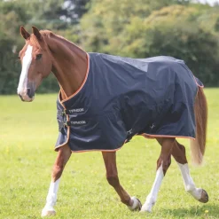 Typhoon 200 Turnout Rug