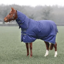 Typhoon Lite Combo Turnout Rug