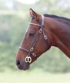 Velociti GARA Clincher Inhand Bridle