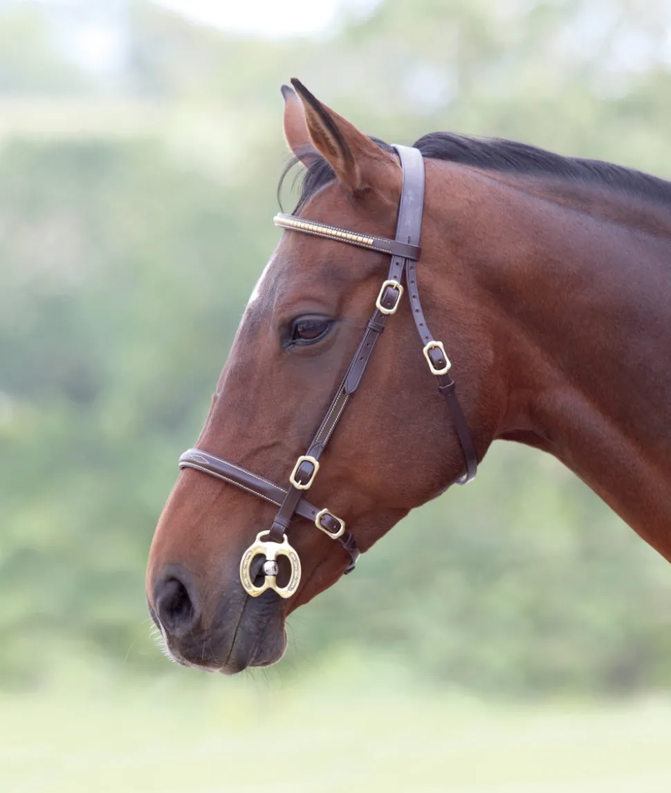 Velociti GARA Clincher Inhand Bridle