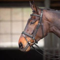 Velociti GARA Comfort Fit Bridle