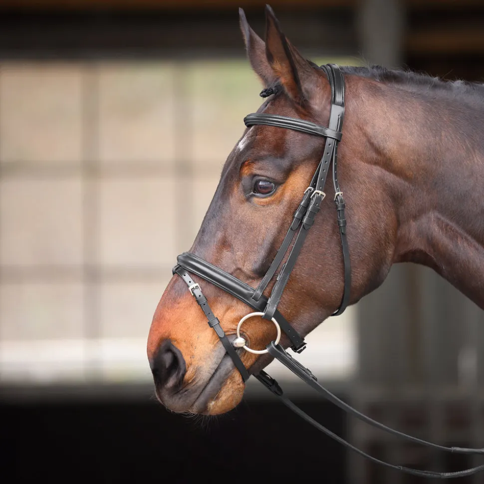 Velociti GARA Comfort Fit Bridle