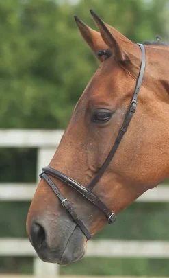 Velociti GARA Flash Noseband