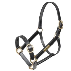 Velociti GARA Fully Adjustable Leather Headcollar