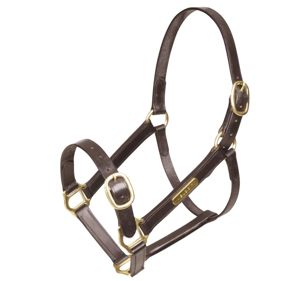 Velociti GARA Fully Adjustable Leather Headcollar
