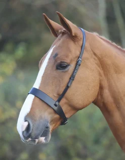 Velociti GARA Hunter Cavesson Noseband