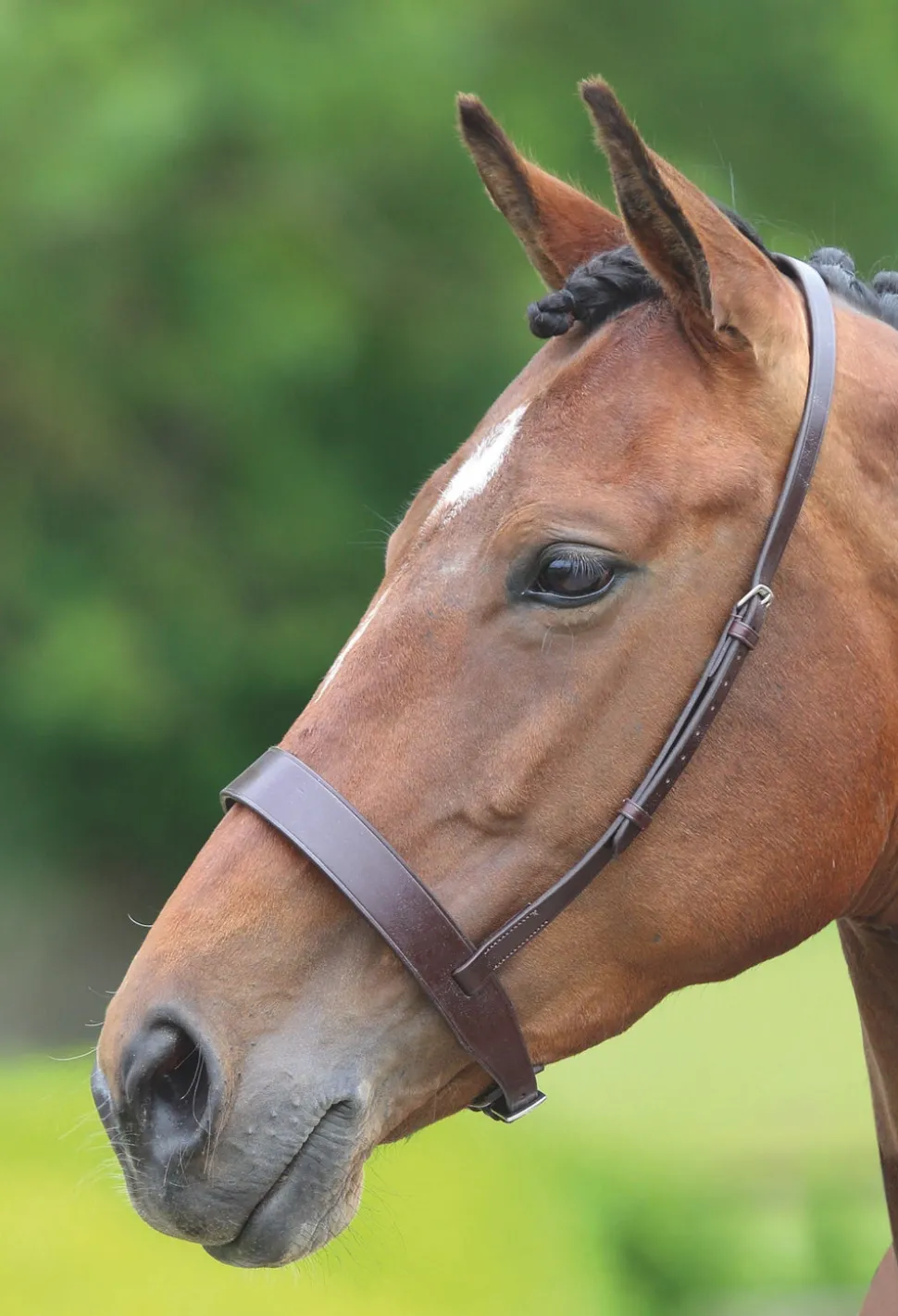 Velociti GARA Hunter Cavesson Noseband
