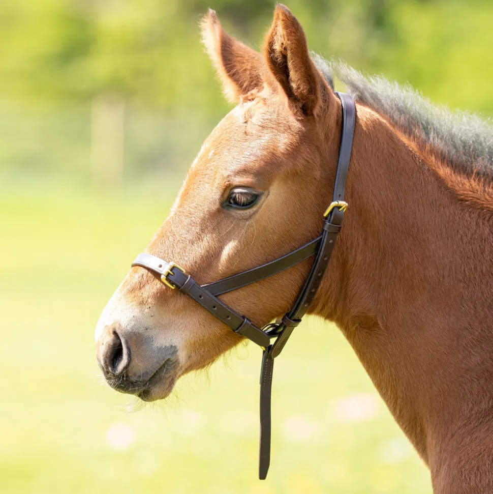 Velociti GARA Leather Foal Slip