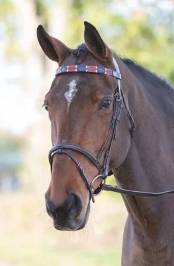 Velociti GARA Leather Polo Browband
