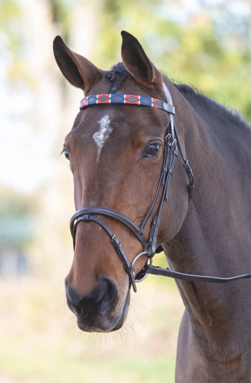 Velociti GARA Leather Polo Browband