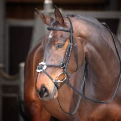 Velociti GARA Mexican Bridle