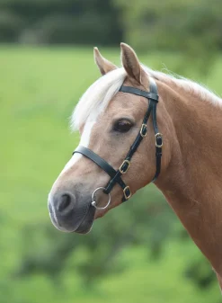 Velociti GARA Plain Inhand Bridle