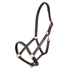 Velociti GARA Ragley Lined Leather Headcollar