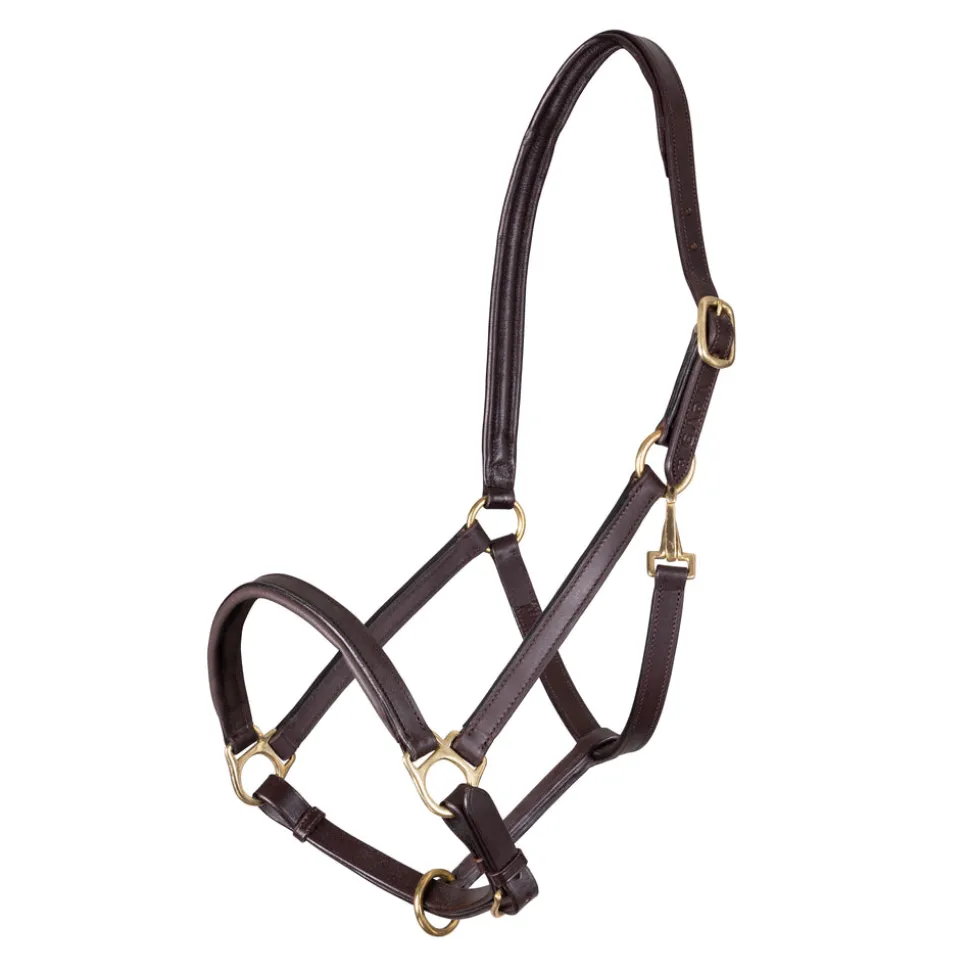 Velociti GARA Ragley Lined Leather Headcollar