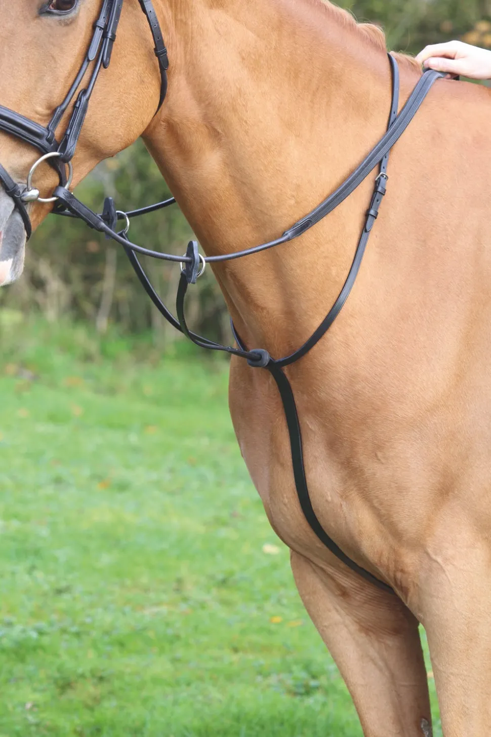 Velociti GARA Running Martingale