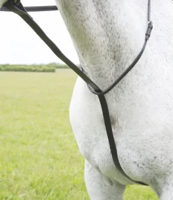 Velociti GARA Standing Martingale