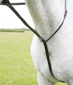 Velociti GARA Standing Martingale