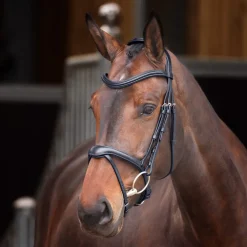 Velociti Lusso Elite Flash Bridle